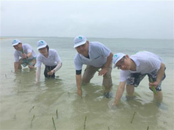 ボホール島の植林とマングローブ観光